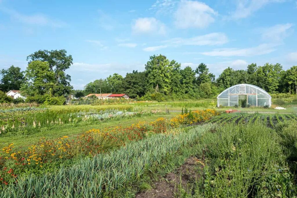 Riverbluffs community farm