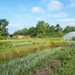 Riverbluffs community farm